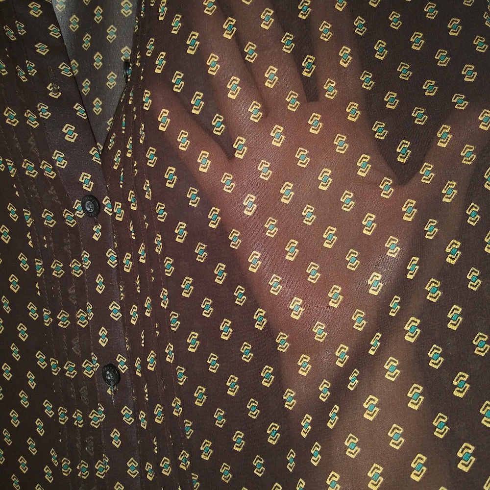 🌟Host Pick!🌟Chaps sheer blouse - Picture 2 of 3